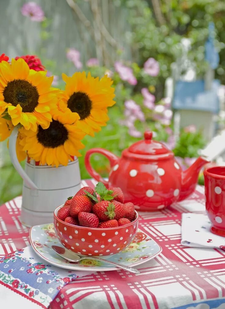 Картинки доброе утро лето love the polka dots!!!! Flea market gardening, Tea and books, Christmas decorati