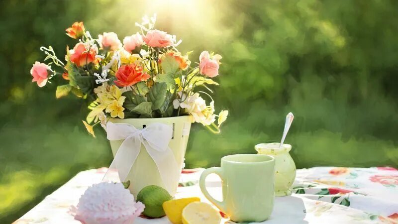 Картинки доброе утро лето Spring flowers Wallpaper, Nature: Spring flowers, summer flowers, summer, sun Su