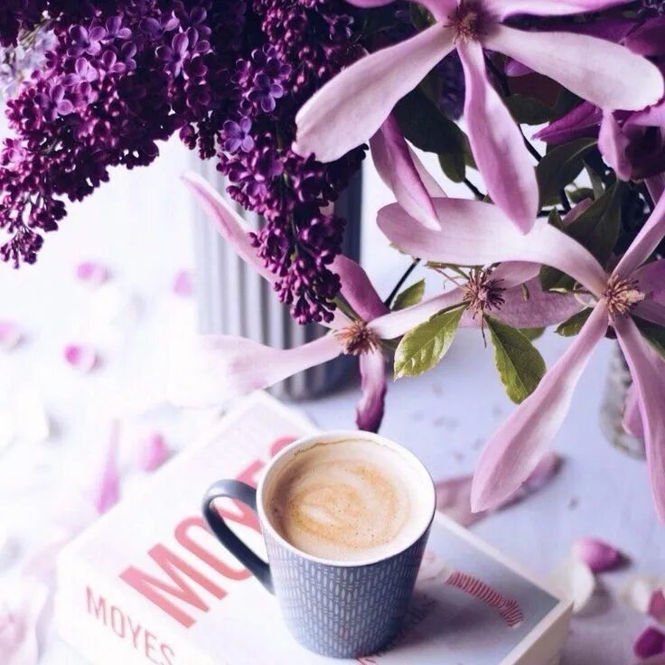Картинки доброе утро новые стильные красивые необычные Pin by Amira on Amira Coffee flower, Book flowers, Tea and books
