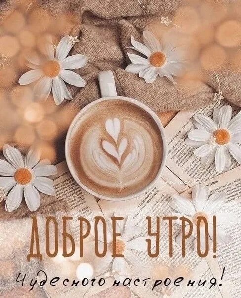 Картинки доброе утро новые стильные красивые необычные Good morning !! 2022 АУКЦИОНЫ "ЖИТЬ ЛЕГКО!" ВКонтакте