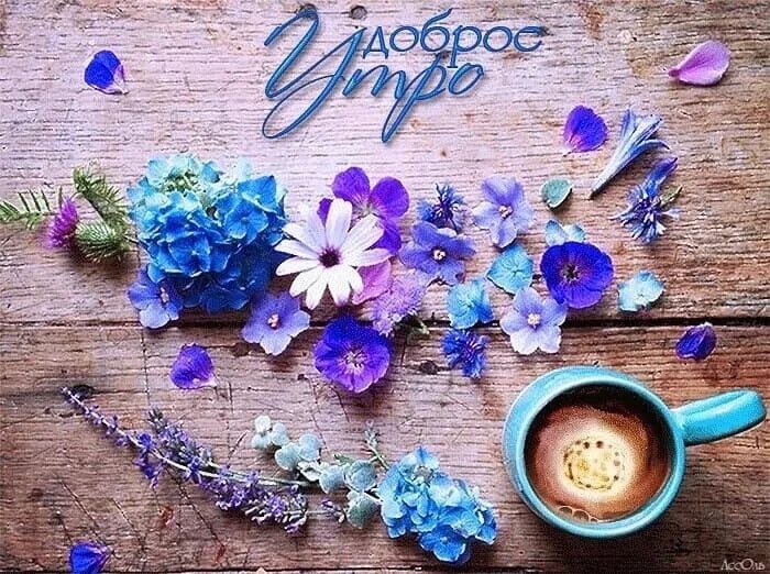 Картинки доброе утро новые стильные красивые необычные Доброе утро. Хорошего дня и отличного настроения. Счастья, мира, любви. 2024 ГБУ