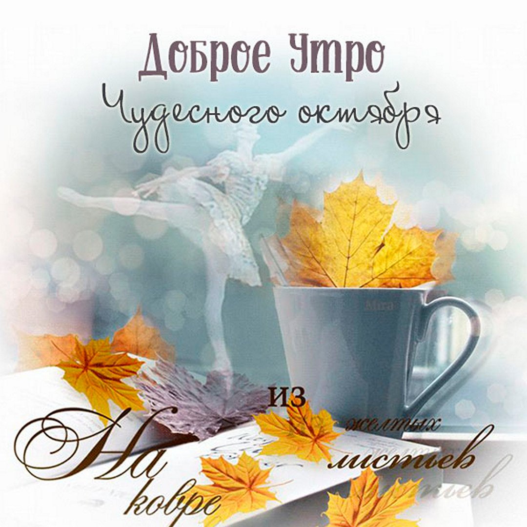 Картинки доброе утро ноября красивые С теплым утром ноября: найдено 79 изображений