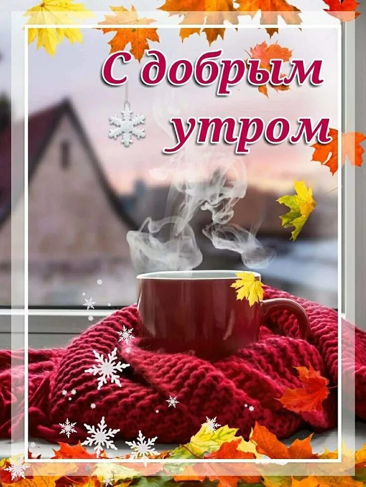 Картинки доброе утро ноября красивые Пин от пользователя Жанна на доске Доброе утро Доброе утро, Милые открытки, Блок