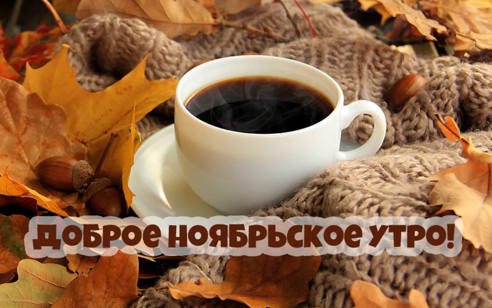 Картинки доброе утро ноября красивые С добрым ноябрьским утром!