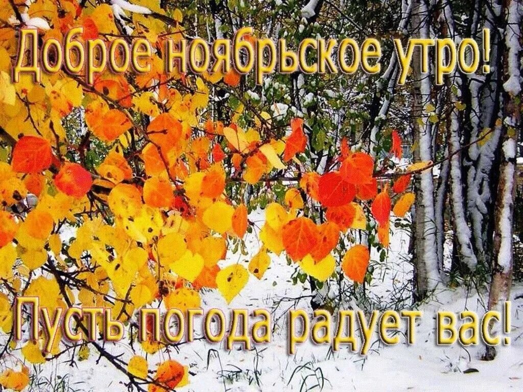 Картинки доброе утро ноября красивые Одноклассники Осенние картинки, Осенние изображения, Счастливые картинки