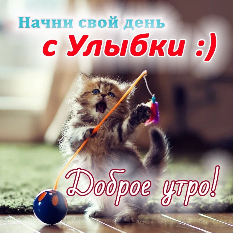 Картинки доброе утро очень красивые прикольные Мукбанг с Наташей