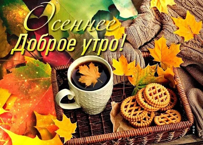 Картинки доброе утро октября красивые новые осенние Утро было прекрасно уже тем, что оно наступило". - Фазиль Искандер 2023 Библиоте