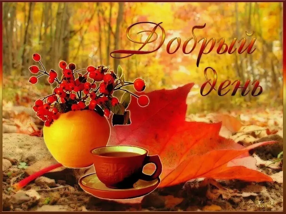 Картинки доброе утро октября красивые новые осенние Доброе осеннее утро день картинки: найдено 66 изображений