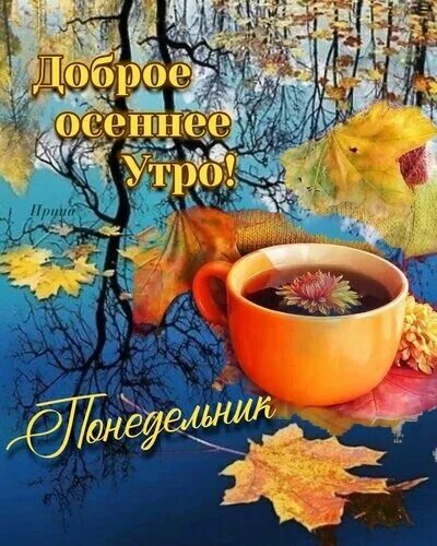 Картинки доброе утро октября красивые новые осенние Открытка Доброго осеннего утра Понедельника!