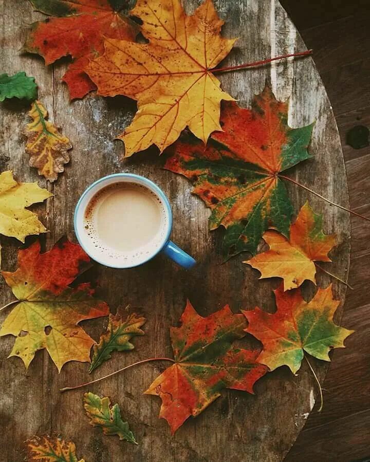 Картинки доброе утро осенние красивые оригинальные необычные Pin by Roberta Kelly on Aromas: coffee & Tea ☕ Autumn tumblr, Autumn coffee, Aut