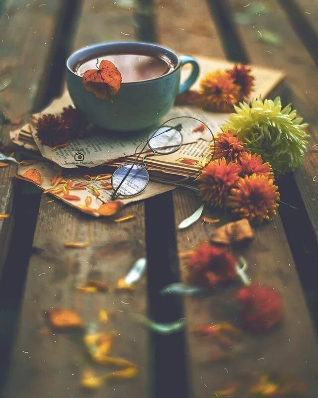 Картинки доброе утро осенние красивые оригинальные необычные Autumn Bliss flowers, coffee και autumn Autumn photography, Autumn coffee, Autum