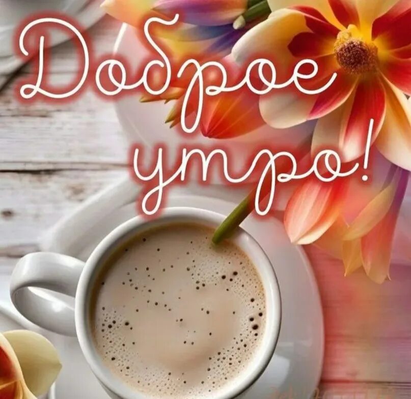 Картинки доброе утро позитивные новые красотка Доброе утро, друзья! #ДоброеУтро #Коряжма Николай Карамзин Осень Веют осенние.. 