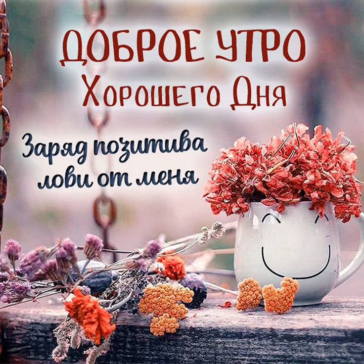 Картинки доброе утро позитивные с пожеланиями Красивые открытки с добрым утром Red peppercorn, Good morning photos, Good morni