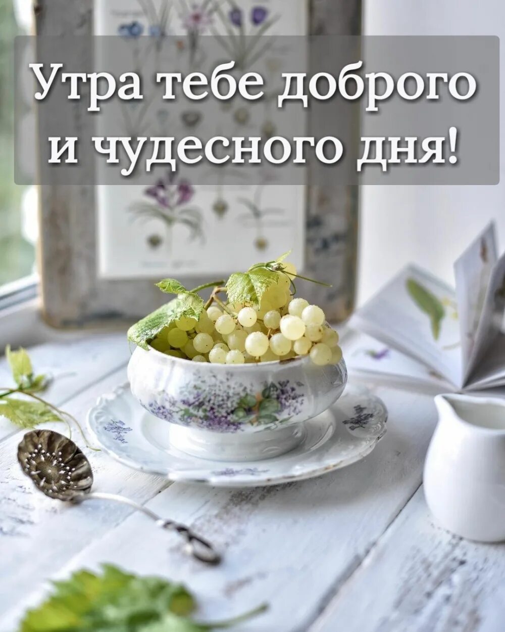 Картинки доброе утро позитивные с пожеланиями Доброеутро ру картинки позитивные мудрые новые: найдено 89 изображений