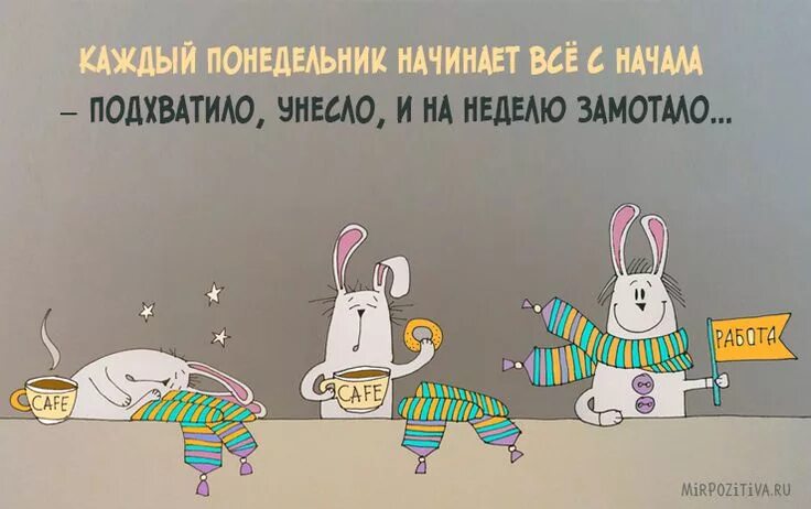 Картинки доброе утро прикольные день недели Понедельник: картинки Смешно, Юмор о работе, Милые цитаты