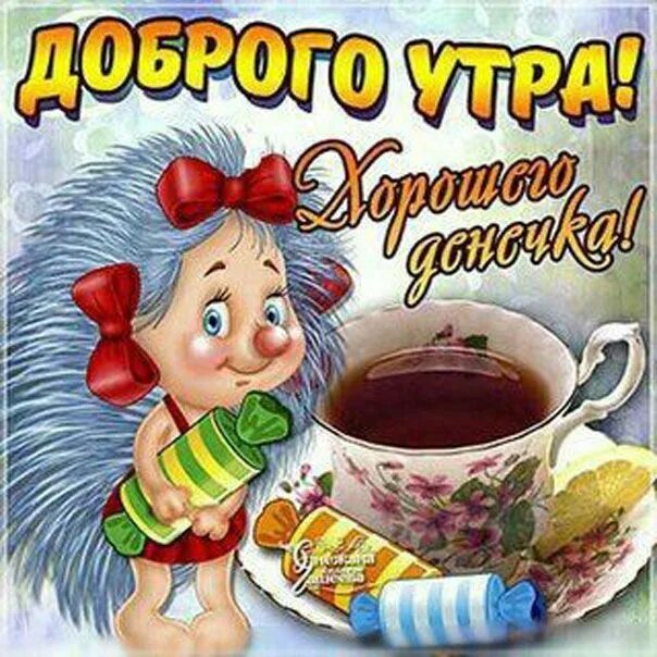 Картинки доброе утро прикольные день недели Доброе утро красивые интернет открытки Позитив утром картинки с эффектом Доброе 