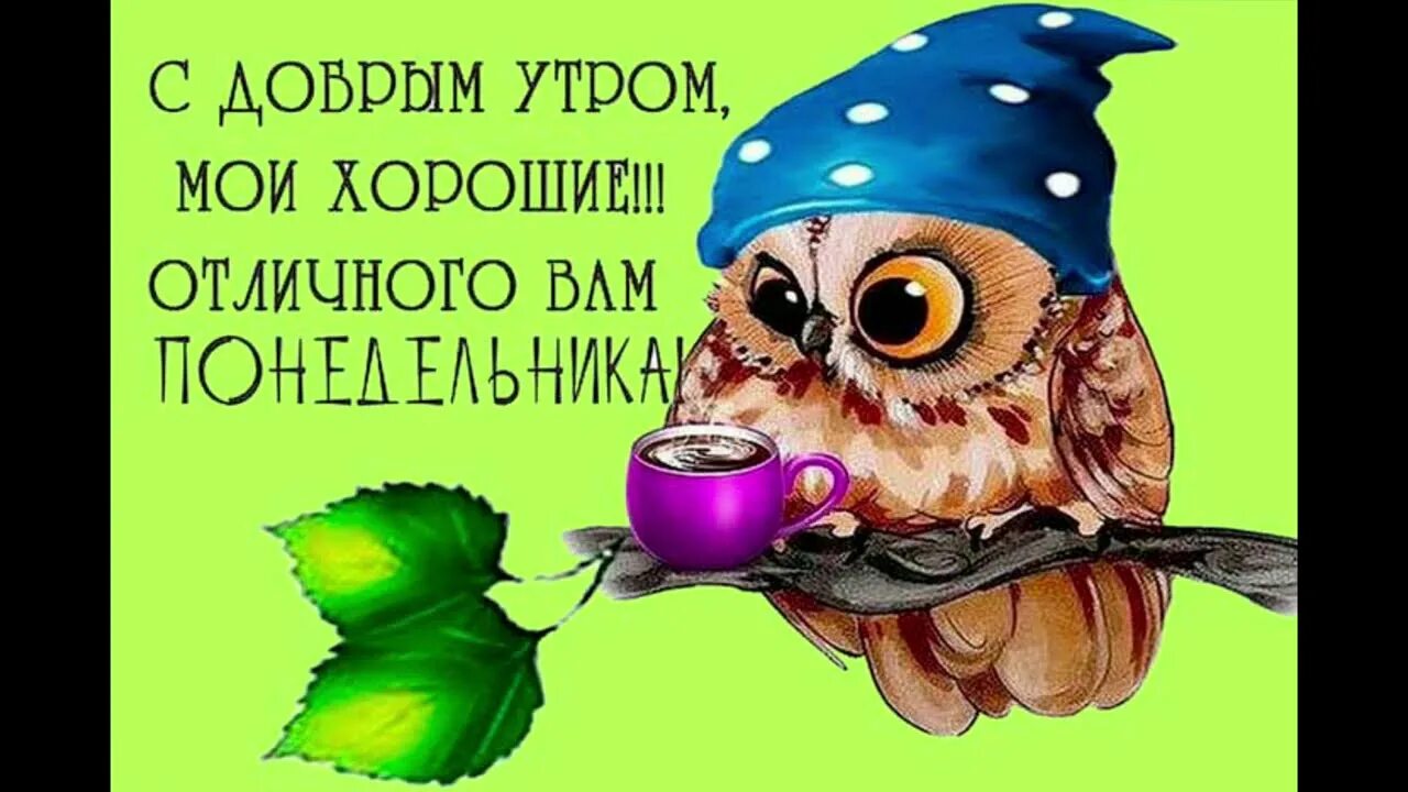 Картинки доброе утро прикольные день недели Юмор.Веселая открытка для настроения " С понедельником..." Веселые Анекдоты, цит