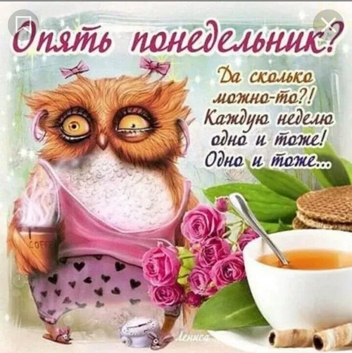 Картинки доброе утро прикольные день недели Пин от пользователя Lina на доске Дни недели -новое. Открытки, Доброе утро, Смеш