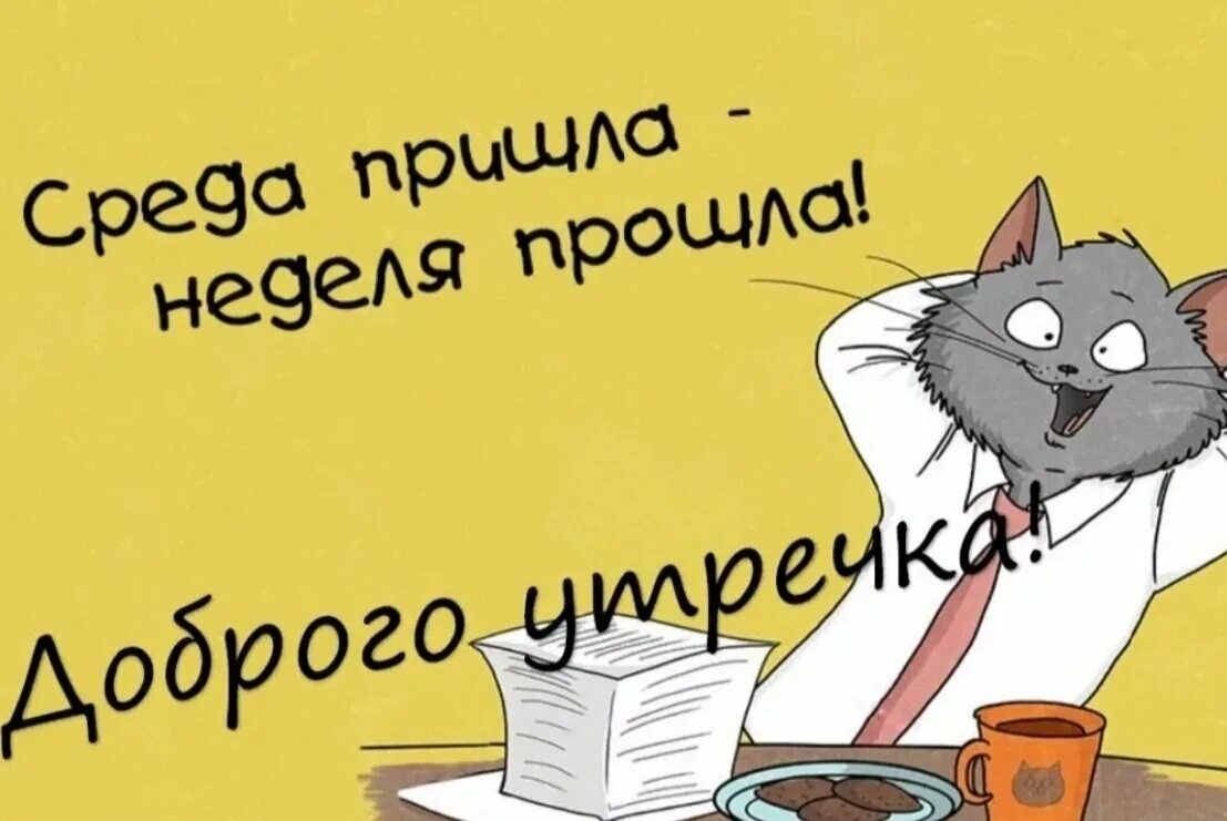 Картинки доброе утро прикольные день недели Середина недели. Art Har Дзен
