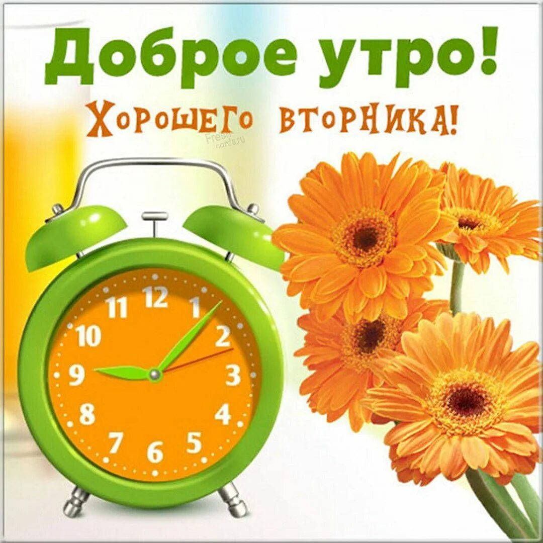 Картинки доброе утро прикольные день недели Яркая открытка хорошего вторника Вторник, Доброе утро, Картинки