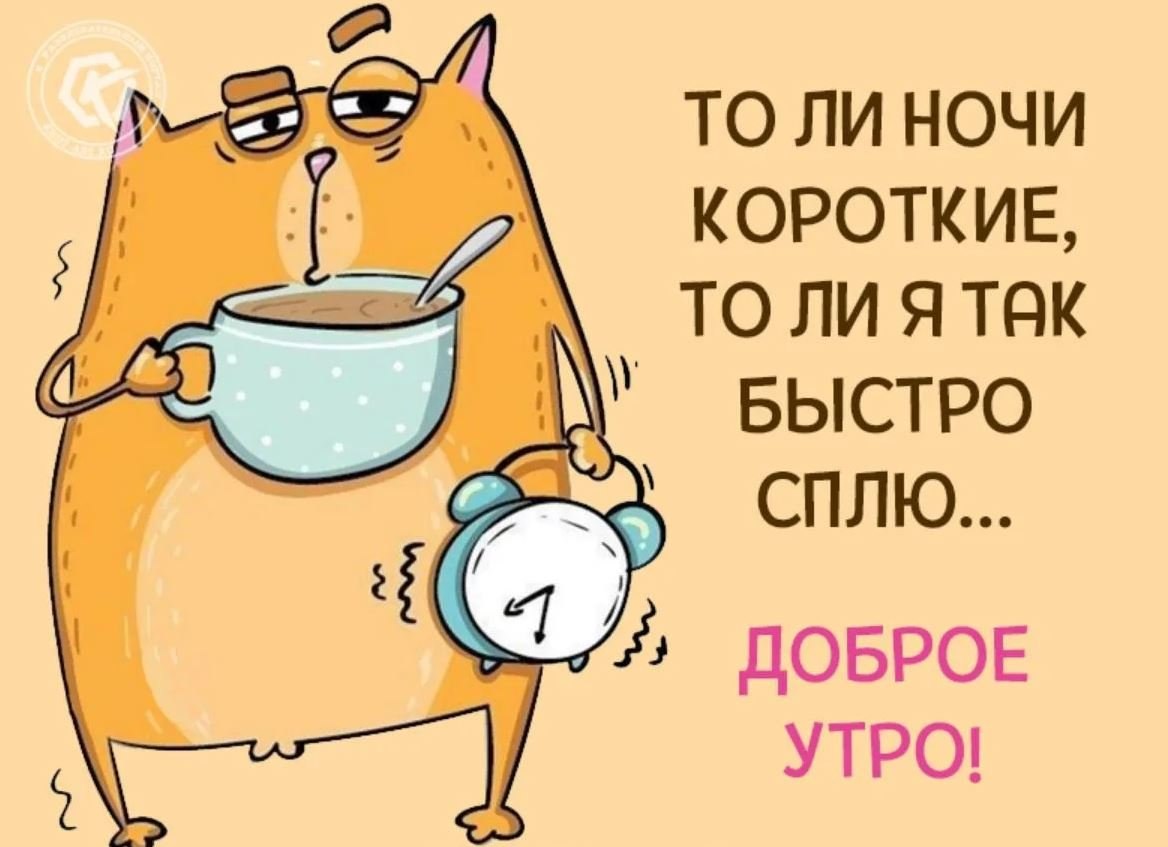 Картинки доброе утро прикольные день недели ПРИВЕТСТВИЯ и ПОЖЕЛАНИЯ, открытки на каждый день. опубликовал пост от 27 апреля 