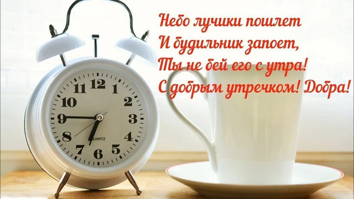Картинки доброе утро прикольные день недели Friday, good morning ! 2023 Beauty blog Женский блог VK