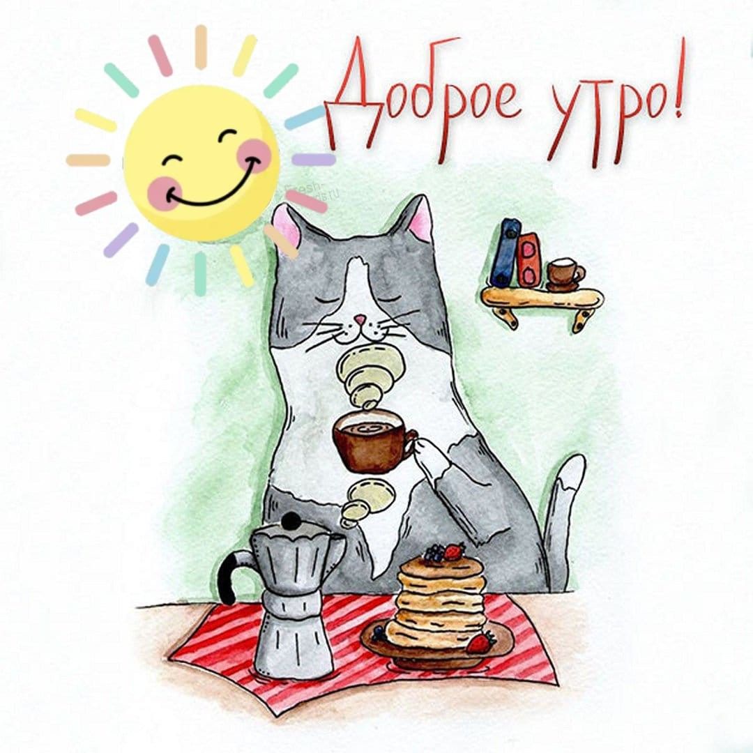 Картинки доброе утро прикольные день недели Pin by Olga Malceva on Доброе утро Cats illustration, Cat drawing, Cat coffee