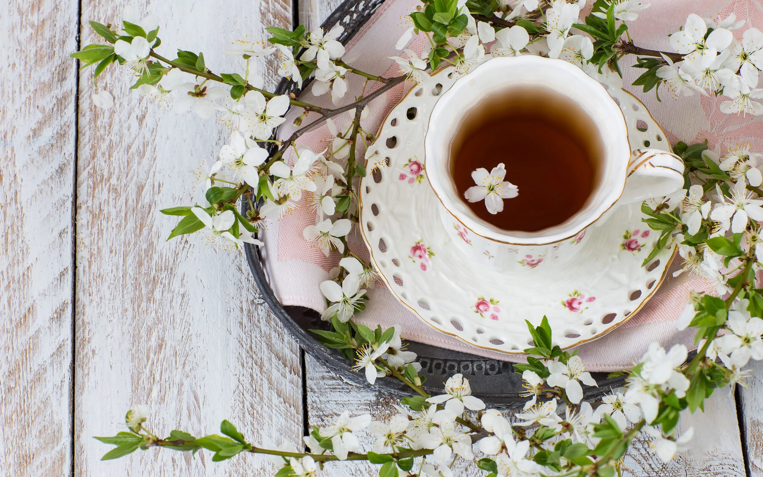 Картинки доброе утро с красивыми чашками Скачать обои весна, цветение, blossom, flowers, cup, spring, tea, чашка чая, раз