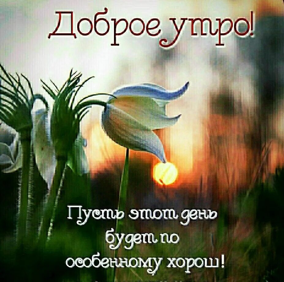 Картинки доброе утро со смыслом хорошего дня Добрые картинки с добрым смыслом