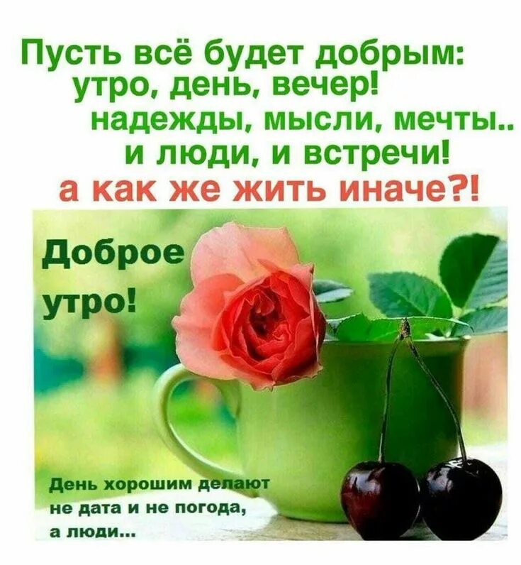 Картинки доброе утро со смыслом хорошего дня Пин от пользователя Lina на доске Добрый день -новое. Цитаты, Вдохновляющие цита
