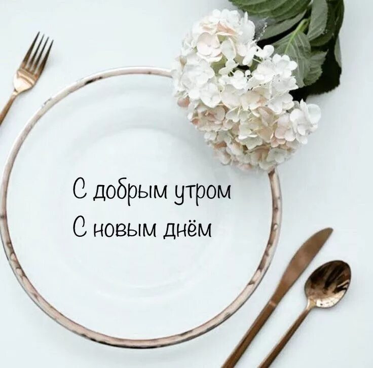 Картинки доброе утро со смыслом хорошего дня Пин от пользователя Chinara Duyshenova на доске позитив Благодарные цитаты, Утре