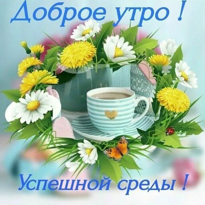 Картинки доброе утро среда позитивные жизнеутверждающий Доброе утро on Instagram: "#goodmorning" Доброе утро, Благодарственные открытки,