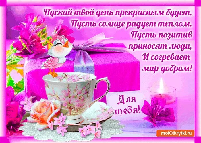 Картинки доброго дня новые красивые с пожеланиями Желаю прекрасного дня
