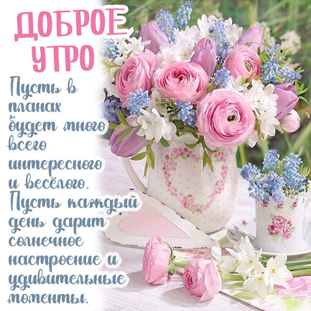 Картинки доброго дня новые красивые с пожеланиями Добрый день открытки с пожеланиями красивые - 89 фото - смотреть онлайн