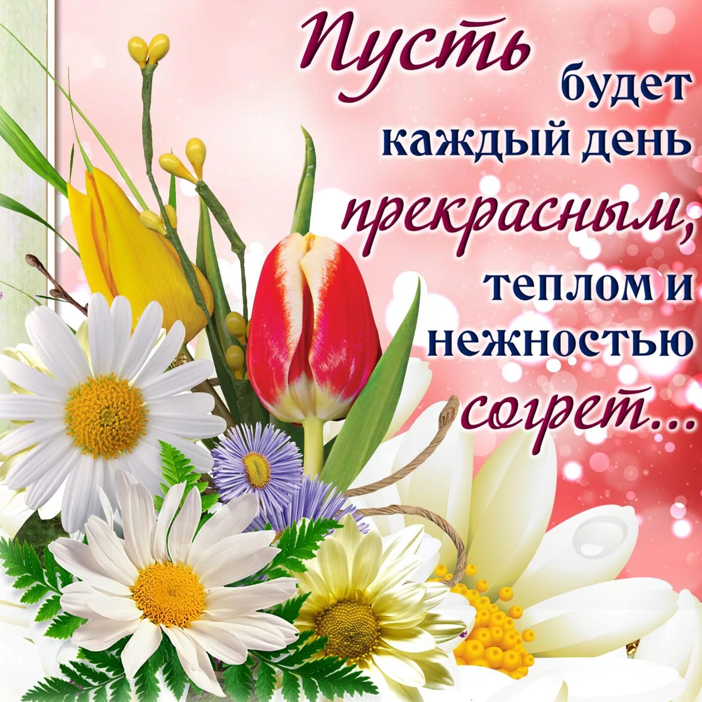 Картинки доброго дня новые красивые с пожеланиями Теплые пожелания на день