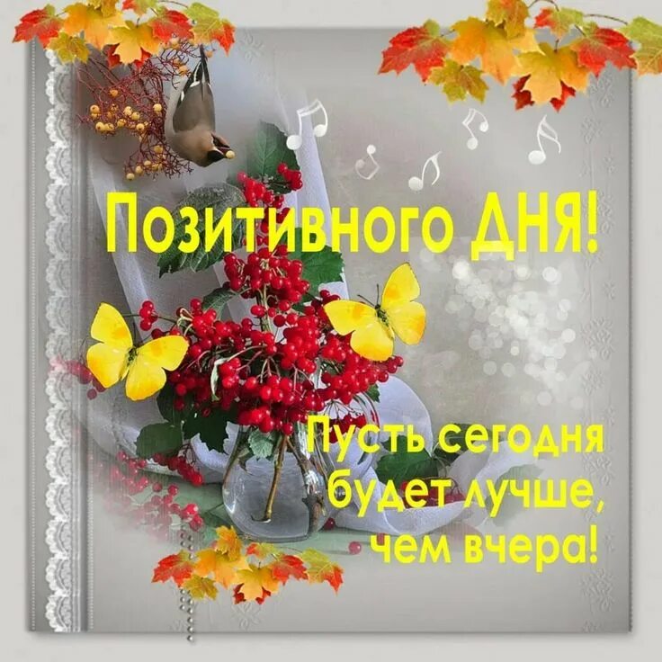 Картинки доброго дня новые красивые с пожеланиями Пин от пользователя Lina на доске Доброе утро, вечер и день Осенние картинки, От