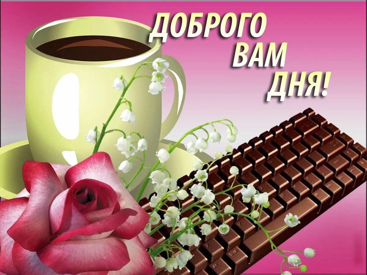 Картинки доброго дня новые красивые с пожеланиями Мысли о разном. Доброго дня. - Всем учителям