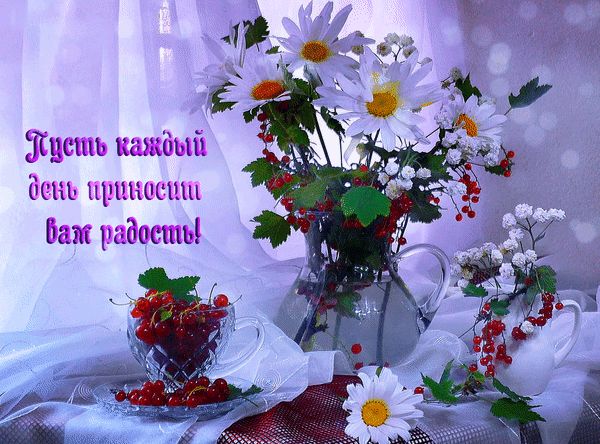 Картинки доброго дня с хорошими словами Анимированная открытка "Пусть каждый день приносит радость!" Радость, Открытки, 