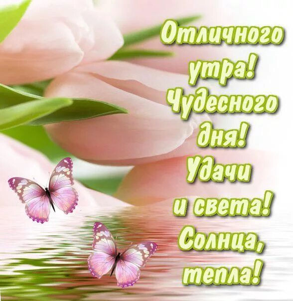 Картинки доброго дня с хорошими словами Открытки Открытки и картинки Хорошего дня Открытка, пожелание, хорошего дня. Отк