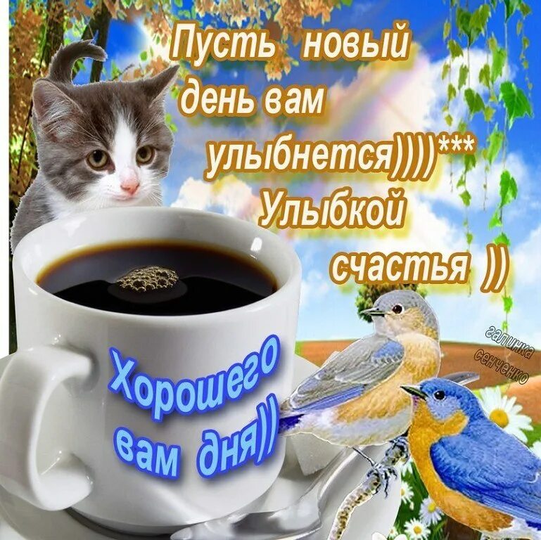 Картинки доброго дня с хорошими словами ПРИВЕТСТВИЯ и ПОЖЕЛАНИЯ, открытки на каждый день. опубликовал пост от 23 июня 20