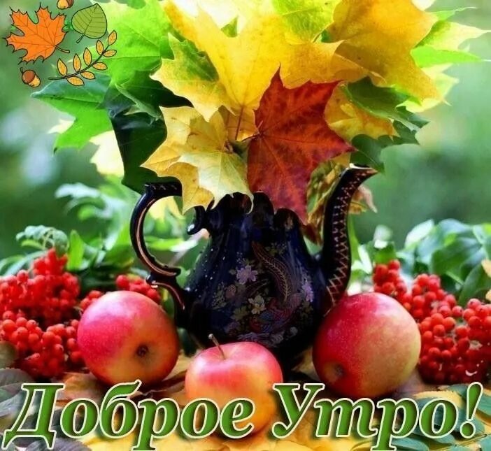 Картинки доброго утра осенние позитивные и здоровья Pin on Открытки Fruit, Good morning, Fruit and veg