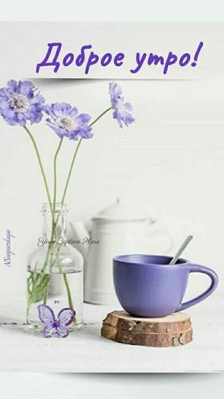 Картинки доброго утра с пожеланиями современные Pin by maggie amidon on Good Morning's in 2024 Good morning photos, Good morning