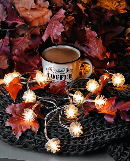 Картинки доброго вечера умные осенние Pin by Ivanhoe on Nice cup of coffee Coffee vs tea, Fun cup, Aesthetic coffee