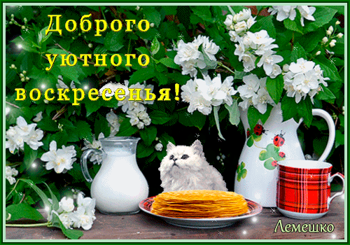Картинки доброго воскресного утра красивые мерцающие Анимированная открытка "Доброго уютного воскресенья!" Открытки, Открытки ко дню 