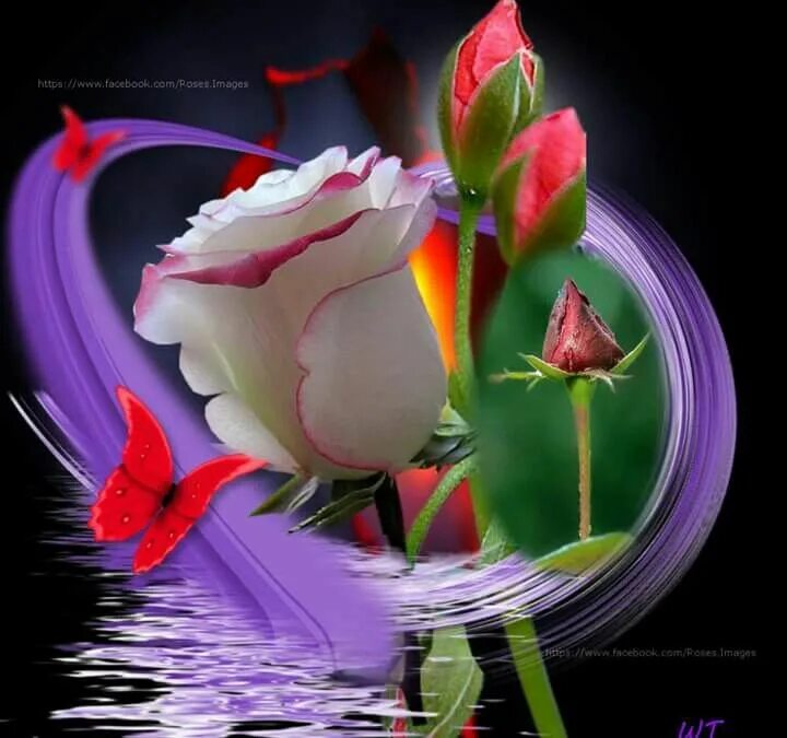 Картинки доброго воскресного вечера с пожеланием Para ti...preciosa!!! Good morning dear friend, Good morning good night, Good mo
