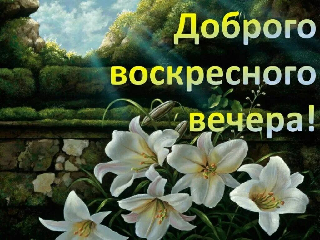 Картинки доброго воскресного вечера с пожеланием Pin by Светлана on С добрым утром! Хорошего дня! Всем приветик! Lockscreen, Plan