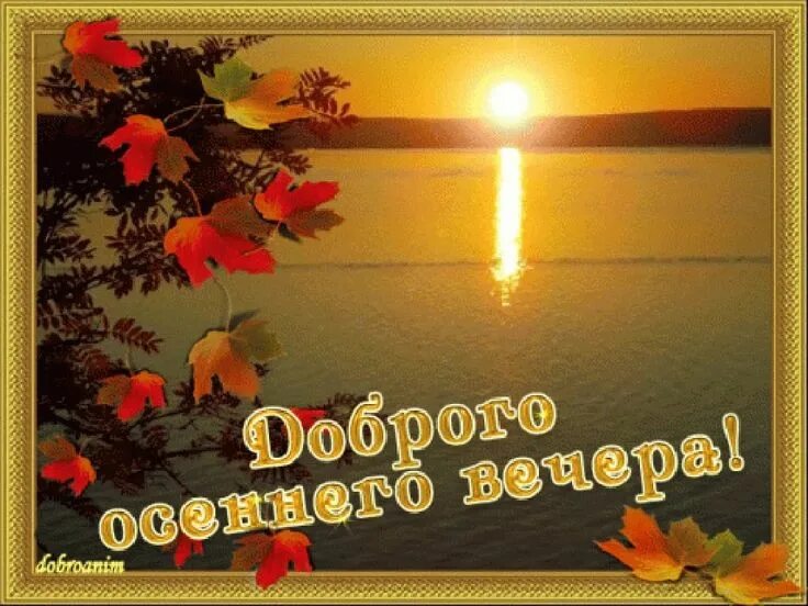 Картинки доброго воскресного вечера с пожеланием фото красивого осеннего вечера: 17 тыс изображений найдено в Яндекс.Картинках Ос