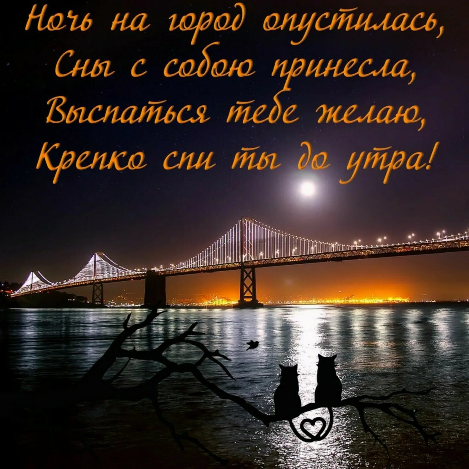 Картинки доброй ночи мужчине необыкновенные с пожеланиями Пожелания на вечер и ночь: найдено 77 изображений