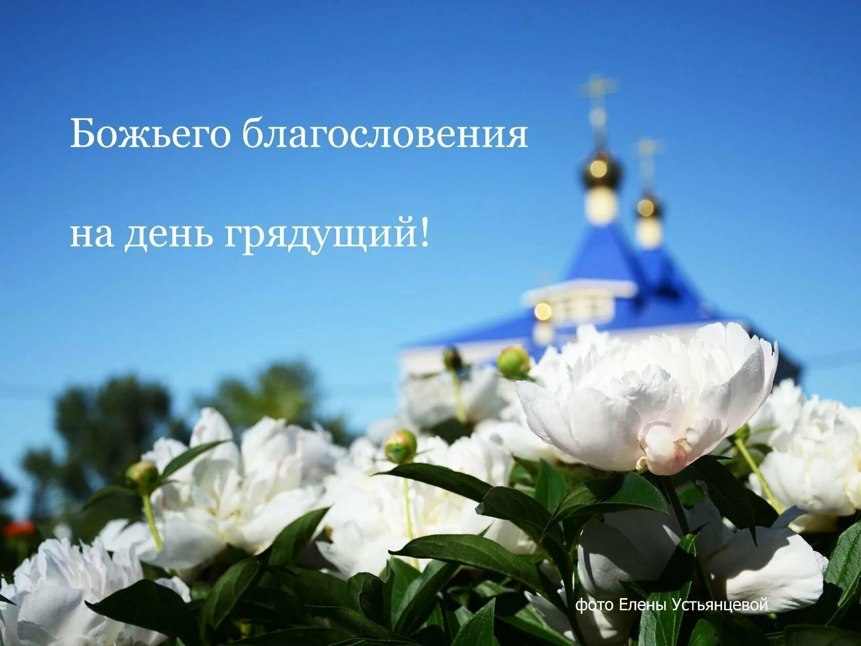 Картинки добрые пожелания с божьим благословением Благословение в картинках: найдено 88 изображений