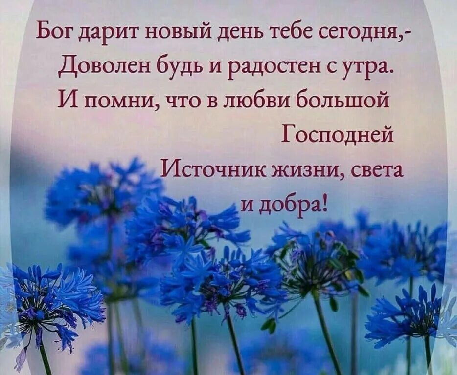 Картинки добрые пожелания с божьим благословением Мысли Феофана Затворника : (1 Кор. 4, 5–8; Мф. 13, 44–54). Прибывши в Назарет. Ц